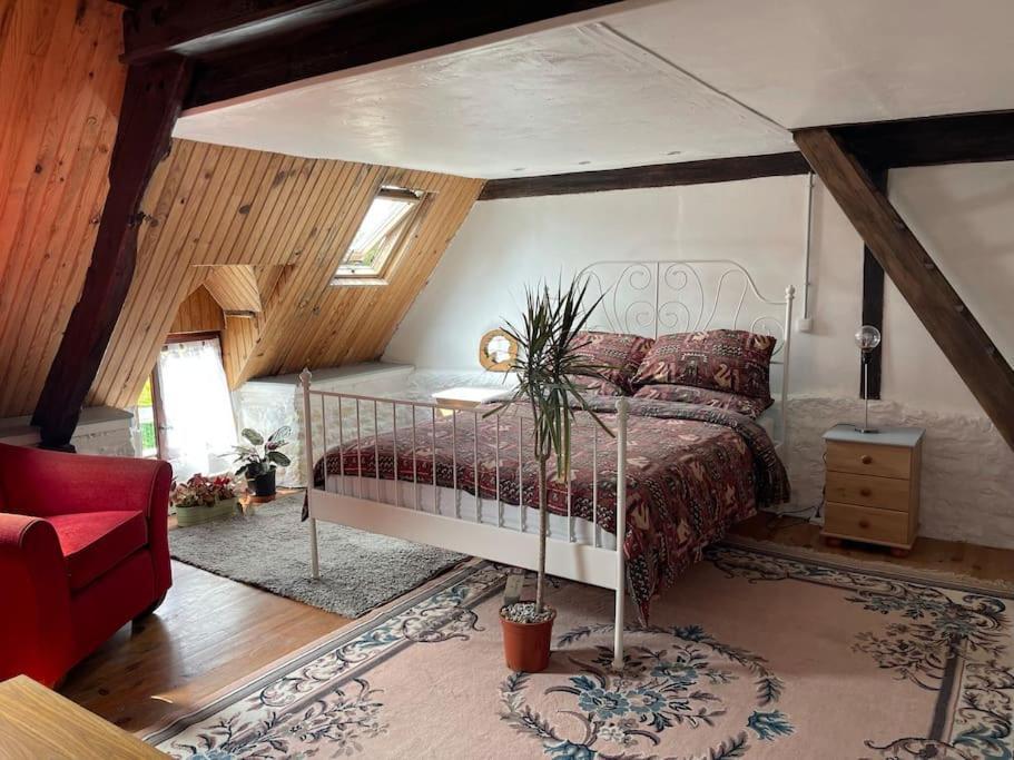 Le Petit Fleur - The Little Flower, Cosy Cottage Saint-Michel-de-Montjoie Экстерьер фото