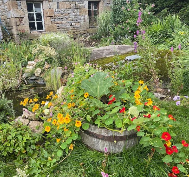 Le Petit Fleur - The Little Flower, Cosy Cottage Saint-Michel-de-Montjoie Экстерьер фото
